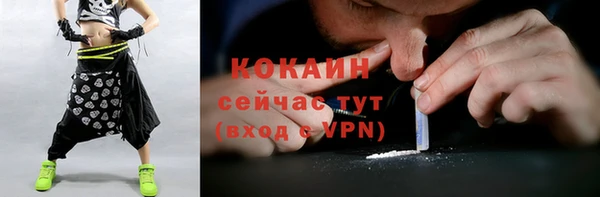 ешки Осинники
