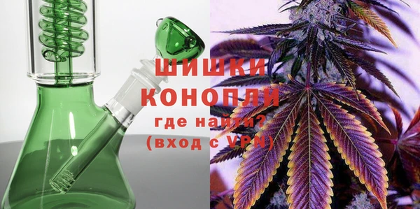 дживик Горняк