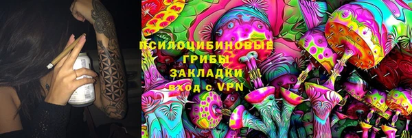 ешки Осинники