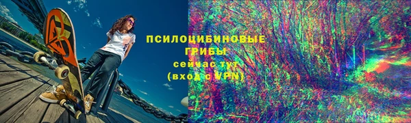 mdma Няндома