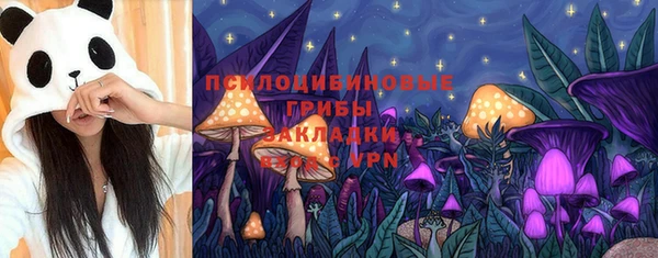 ешки Осинники