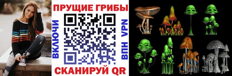 Галлюциногенные грибы GOLDEN TEACHER  blacksprut tor  Киров 