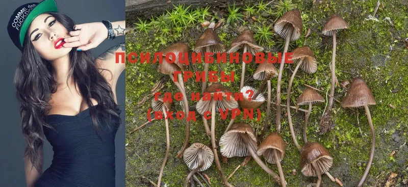 Галлюциногенные грибы Magic Shrooms  наркота  Киров 