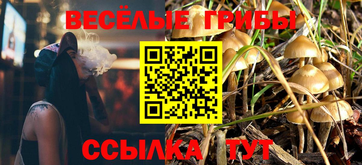 Псилоцибиновые грибы Киров