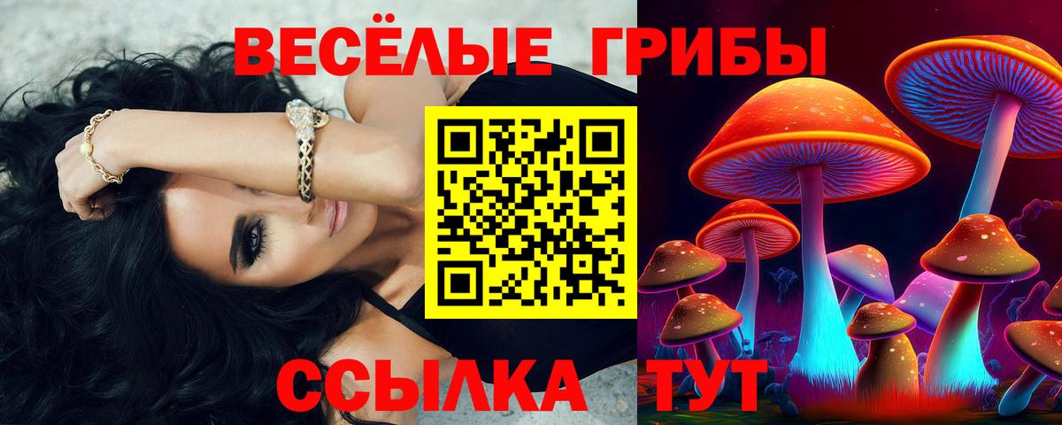 Киров  Псилоцибиновые грибы ЛСД  Вход с VPN 