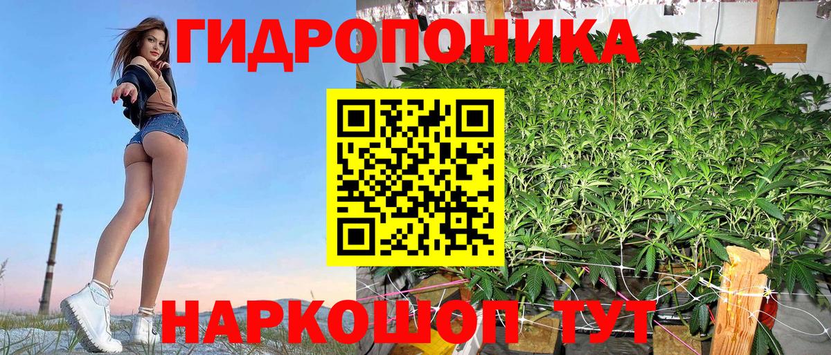 Киров  Марихуана White Widow  Бошки марихуана White Widow  Бошки марихуана тримм  Вход с VPN  Канабис тримм 